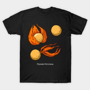 Physalis Peruviana Drawing - Cape Gooseberry T-Shirt